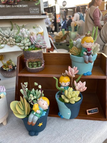 小王子仿真多肉組盆