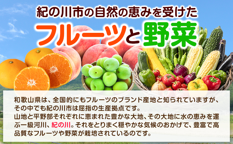 紀の川市の恵み 旬のフルーツ＆野菜セット 計8~10品《お申込み月翌月から出荷開始》和歌山県 紀の川市 フルーツ 果物 野菜 セット 桃 梅 みかん 新玉ねぎ なす トマト キャベツ