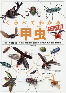 くらべてわかる甲虫1062種 識別ポイントで見分ける 町田龍一郎 阿部浩志 ・写真奥山清市