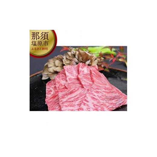 ふるさと納税 栃木県 那須塩原市 那須野ヶ原和牛　旨味の霜降り焼肉500g(約3〜5人前)