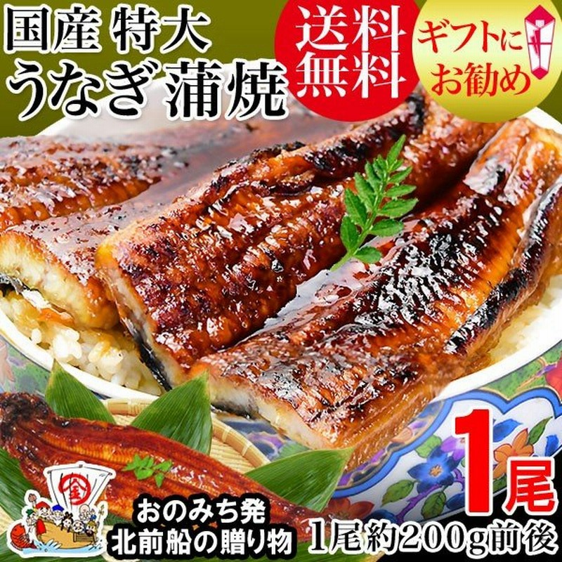 うなぎ 蒲焼き 国産 敬老の日ギフト 鰻 うなぎ蒲焼き 九州産 1尾 特大 約180 0g前後 1尾 宮崎 鹿児島県産 送料無料 通販 Lineポイント最大0 5 Get Lineショッピング