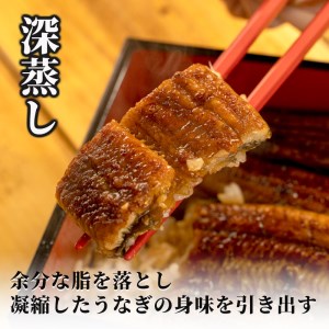 国産 うなぎ 蒲焼 3尾 漁協オリジナル 深蒸し 蒲焼き たれ付き 1尾 約120g～130g （ うなぎ 鰻 うなぎ蒲焼 鰻蒲焼 国産うなぎ 深蒸しうなぎ 鰻 うなぎ3尾 FN-SupportProject うなぎ蒲焼き FN-SupportProject 静岡 FN-SupportProject うなぎ 年末企画 鰻 年末企画 沼津 年末企画 ）