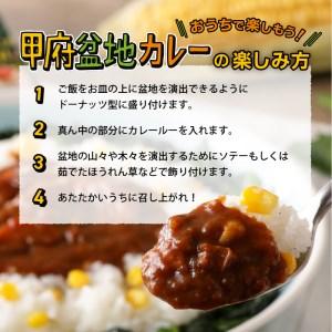 ふるさと納税 甲府の新メニューレシピコンテストグランプリ受賞レシピ　甲府盆地カレー　180g×3個 山梨県甲府市