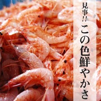 釜あげ桜えび100g｜静岡｜製造元自社から発送｜