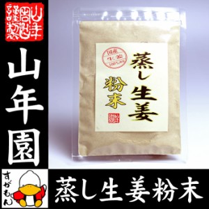蒸し生姜 粉末 45g 熊本県産 蒸ししょうが 蒸しショウガ 送料無料 お茶 お歳暮 2023