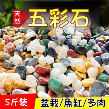 🔥臺灣出貨🔥天然彩色石子五彩石花盆栽多肉鋪麵雨花五花石子魚缸底砂養花石子