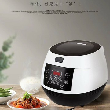 110V220V歐規英文電飯煲球膽球形5升智能多功能電飯煲rice cooker【宜家良品百貨】