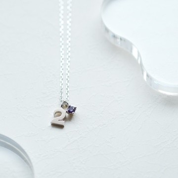 數字 & 2月誕生石 紫水晶 項鍊 銀 925