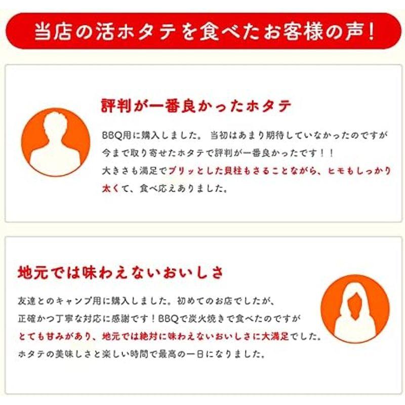 ほたて 3kg 活ほたて 青森県産新鮮プリっと甘い青森県むつ湾産 活ほたて 3ｋｇチルド便海鮮