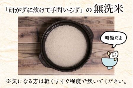 定期便 ≪12ヶ月連続お届け≫ 福井県のブランド米 いちほまれ 無洗米 10kg × 12回 計120kg  [O-6153]