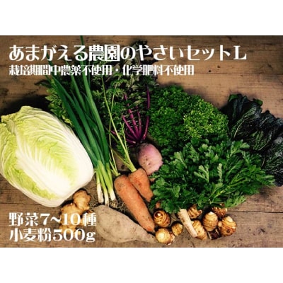 あまがえる農園のやさいセットL(栽培期間中農薬・化学肥料不使用)