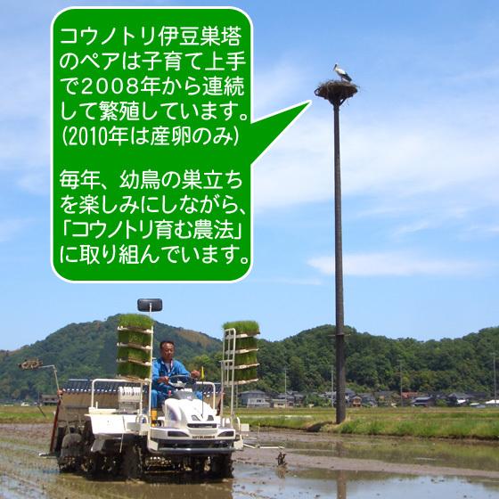 新米 玄米（精米無）農薬不使用 こうのとり米（3kg）コウノトリ米 コシヒカリ 白米 有機肥料 令和5年産 当日精米