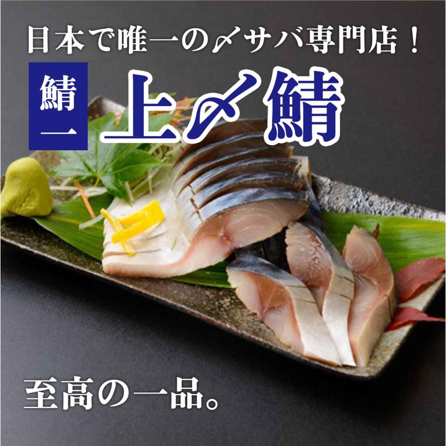 上〆サバ 〆鯖専門店 上〆鯖 穫れたて厳選国産さば  海鮮ギフト 内祝い お中元 お歳暮 ギフト