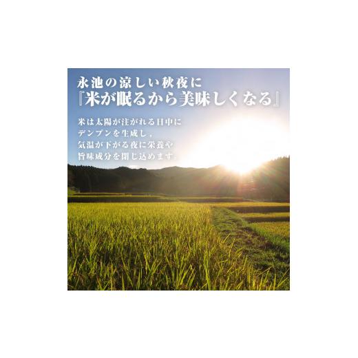 ふるさと納税 鹿児島県 伊佐市 C0-09 令和5年産 新米 特別栽培米 伊佐米永池ひのひかり(計18kg・3kg×6ヶ月)