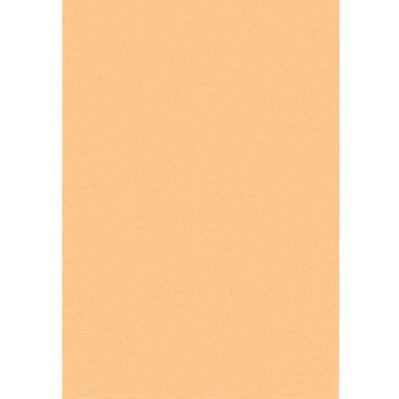 【文具通】對開 對K 書面紙 海報紙 淺柑色 出貨量為5張 購買前請注意，紙製品不接受退換貨! P1400039