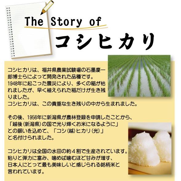 新米 無洗米 5kg 三重県産 コシヒカリ 令和5年産 多気農協 ぎんひめ限定 送料無料