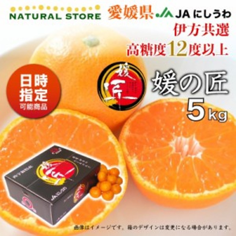 温州みかん 小粒 で 甘い 約1.5kg 約14玉入り お試し 愛媛産 他 #8 - 果物