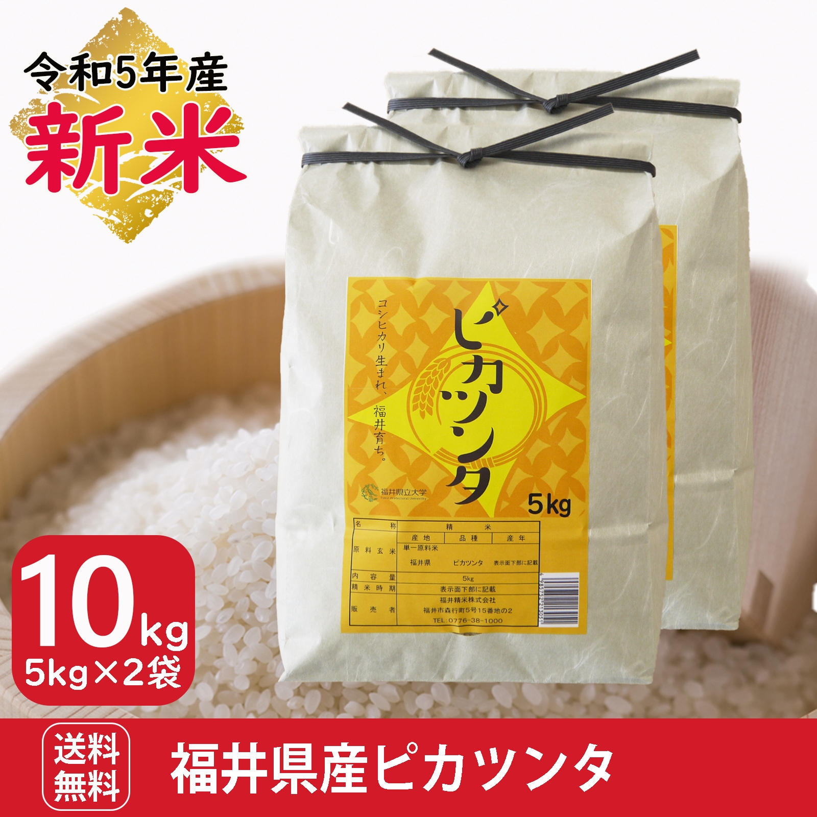 新米 福井県産ピカツンタ 10kg(5kg2袋) 白米 令和5年産