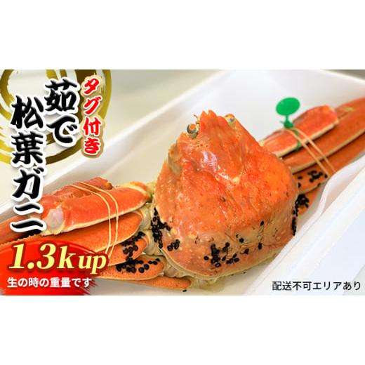 ふるさと納税 京都府 宮津市 松葉ガニ　茹で　タグ付き　1.3kg up　《2023年11月10日以降順次発送》[ 蟹 かに カニ 松葉蟹 国産 冷蔵 ][No.5716-0546]