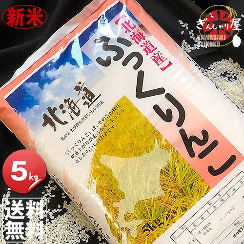 新米 米 5kg お米 ふっくりんこ 北海道産 白米 令和5年産 送料無料