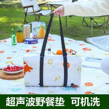 野餐墊防潮墊加厚野餐布戶外用品便攜防水野炊郊游帳篷墊露營墊子