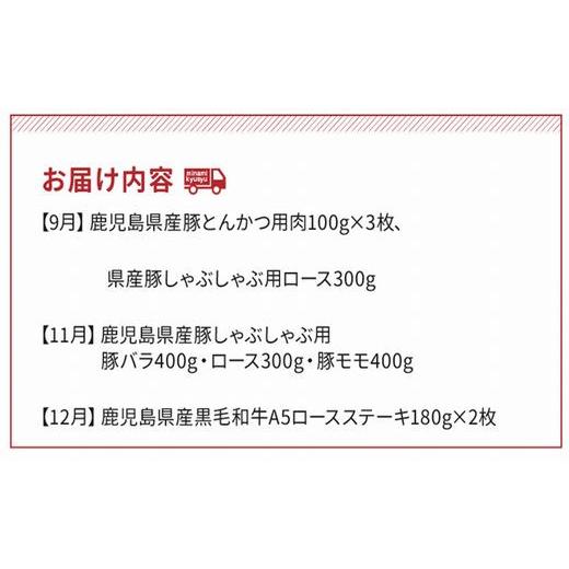 ふるさと納税 鹿児島県 南九州市 お肉わくわく定期便II 027-37