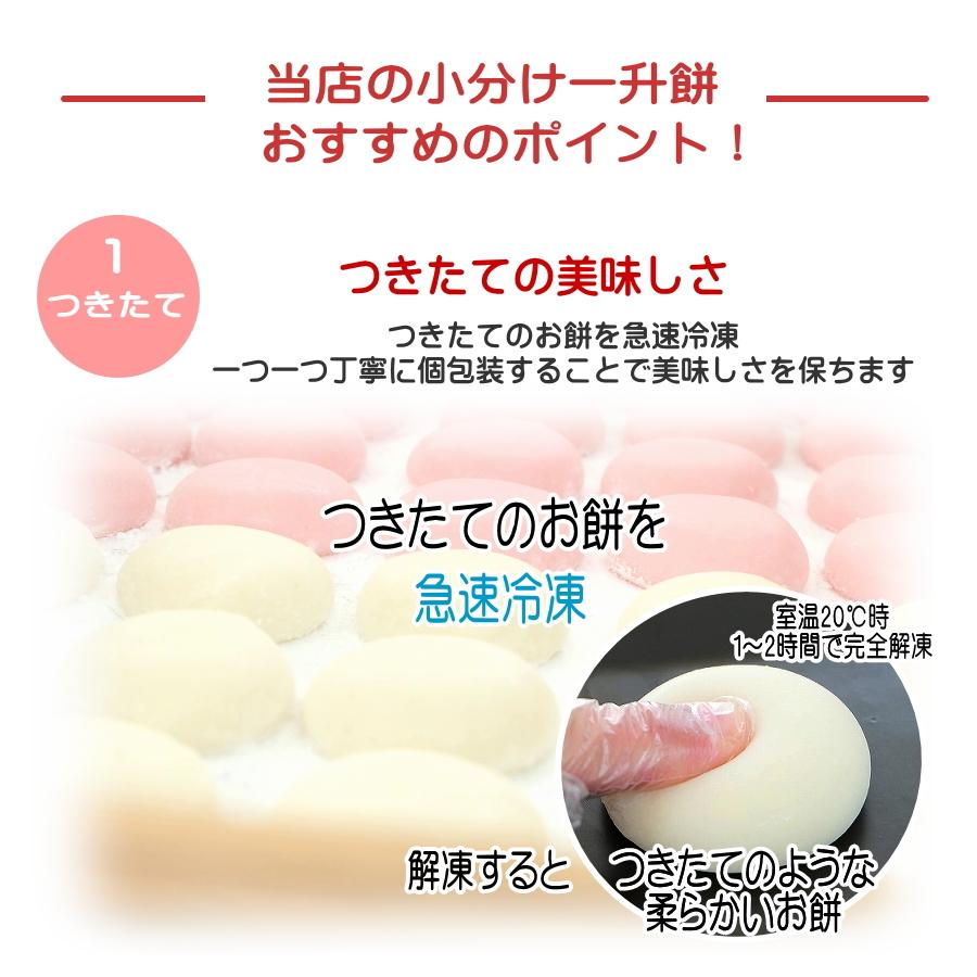 小分け一升餅（個包装＆冷凍タイプ）★最高級の滋賀羽二重もちを使用した美味しいお餅★1歳お誕生日(御祝)★一升米・一生餅