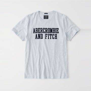 A&F 熱銷刺繡文字圖案短袖T恤-淺灰藍色