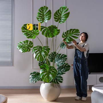 公司貨 免運 假樹 仿真植物 裝飾品 輕奢仿真綠植龜背竹擺件裝飾北歐風客廳室內仿生植物造景高端假樹工廠直銷 可開發票 新品特價/全館折扣 5s715