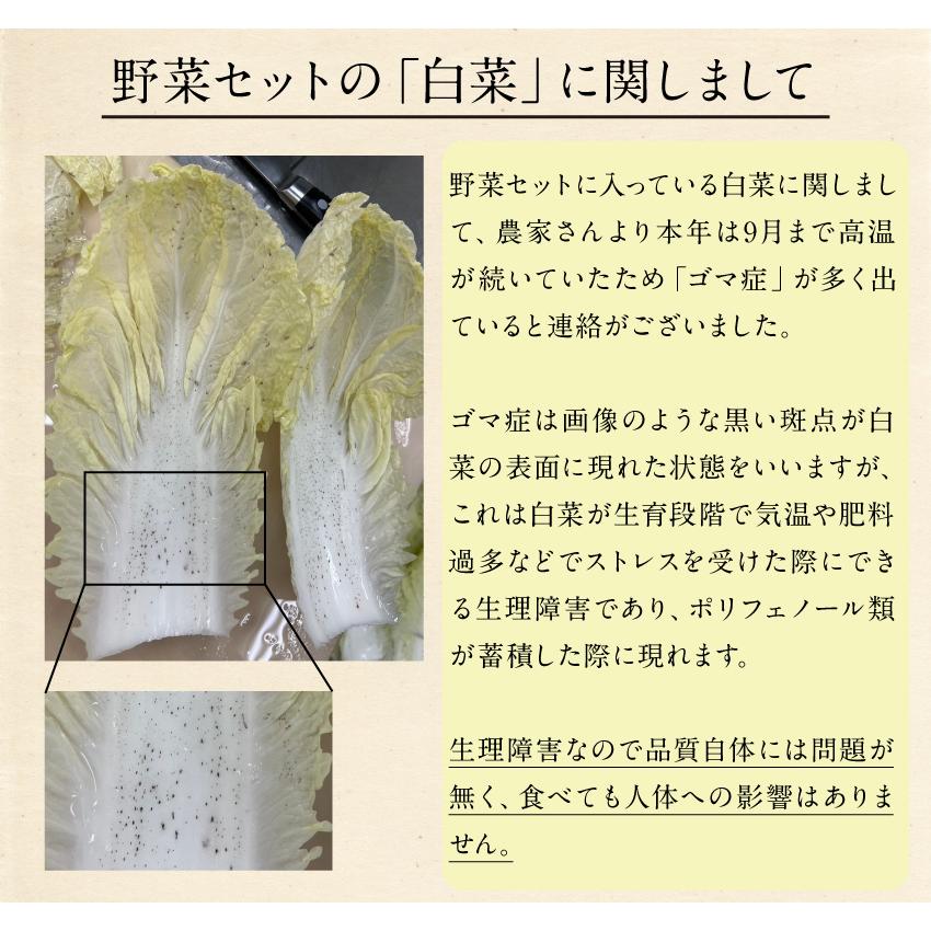 しあわせ ふるさと盆地鍋 九州鶏の旨み溢れる水炊きキット (2〜3人前) 野菜 米粉生麺×2袋 ギフト プレゼント 送料無料