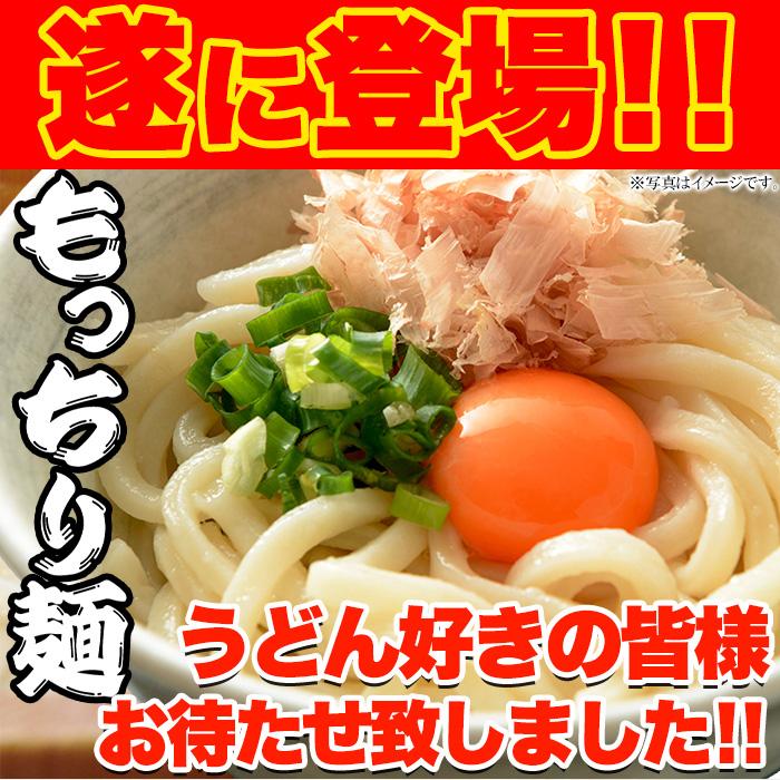 天然生活 SM00010370 鎌田醤油特製ダシ醤油6袋付き!!讃岐うどん6食分600g(300g×2袋)