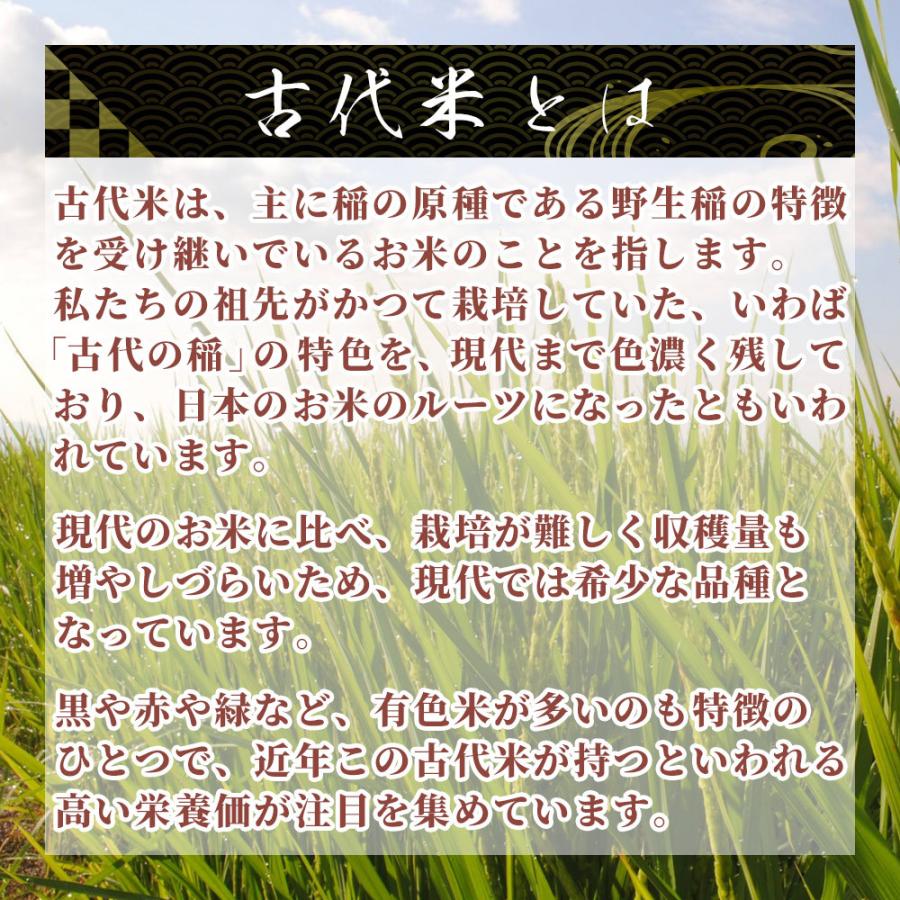 セール 国産 赤米 900g(450g×2袋) 新米 令和4年産 古代米 雑穀 雑穀米 ダイエット 置き換え 食品 送料無料