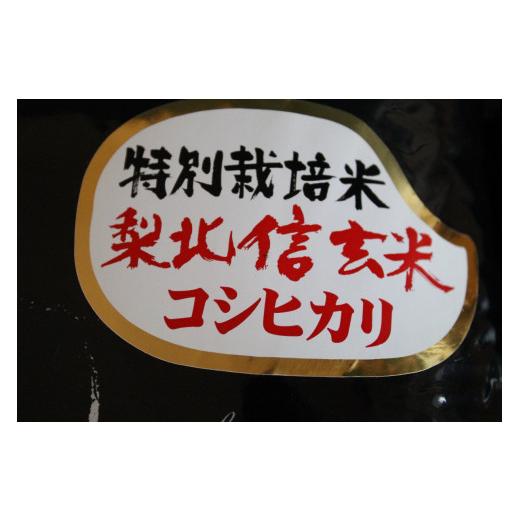 ふるさと納税 山梨県 北杜市 JA梨北米（精米）　１０ｋｇ