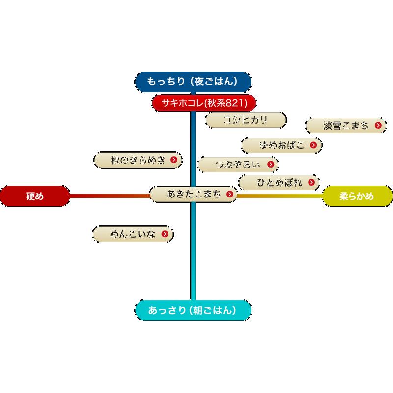 5年産　白米　秋田県JA秋田おばこ　特別栽培米サキホコレ　5ｋｇ