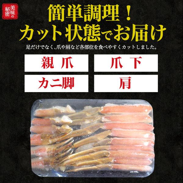 領収書発行可 ズワイガニ 鍋セット 約1kg 人気 お取り寄せ ネット カニ グルメ ランキング 食材 味覚 蟹味噌 かにみそ 贈り物 ギフト お祝い かに ずわいがに