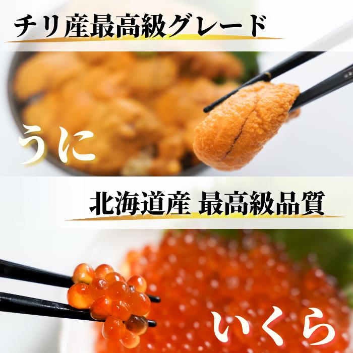 生うに いくら セット「うに丼75g×1、いくら70g×1」新鮮な天然生ウニとイクラを厳選！お取り寄せグルメ