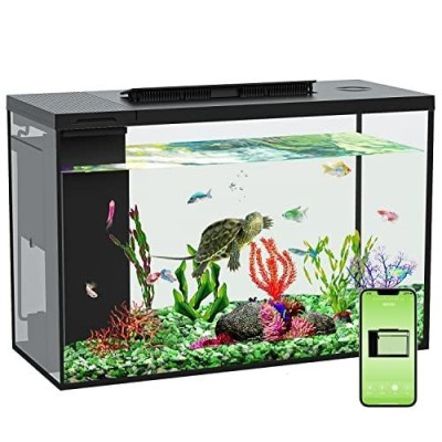 60センチ水槽豪華一式　レイアウトもそのままどうぞ！ 60センチ水槽豪華一式 レイアウトもそのままどうぞ！