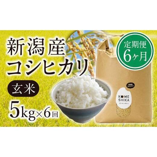 ふるさと納税 新潟県 新潟産コシヒカリ 玄米5kg×6回