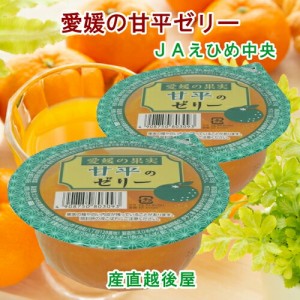  愛媛県の農協 JAえひめ中央  愛媛の果実 甘平のカップゼリー 甘平のゼリー155 g 30個入