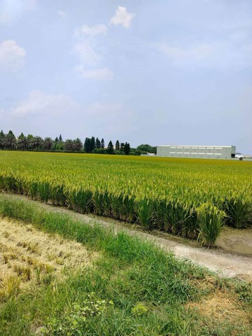 臨近鹿基田地｜彰化縣福興鄉永豐段