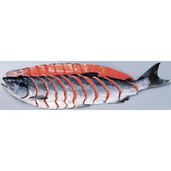 送料無料　熟成紅鮭姿切り身(1.6kg)×1尾(個包装)