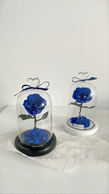 Flora Flower小王子永生玫瑰夜燈-寶藍色