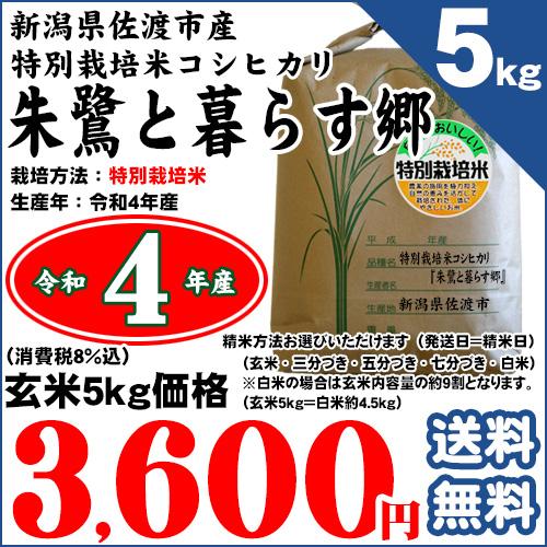 新潟県佐渡産 特別栽培米 コシヒカリ 「朱鷺と暮らす郷」 玄米5kg（精米方法お選びいただけます） 令和5年産