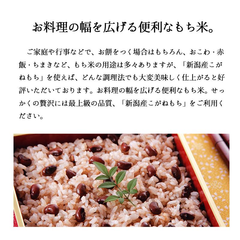 もち米 2kg こがねもち お米 令和5年産 新米 新潟県産