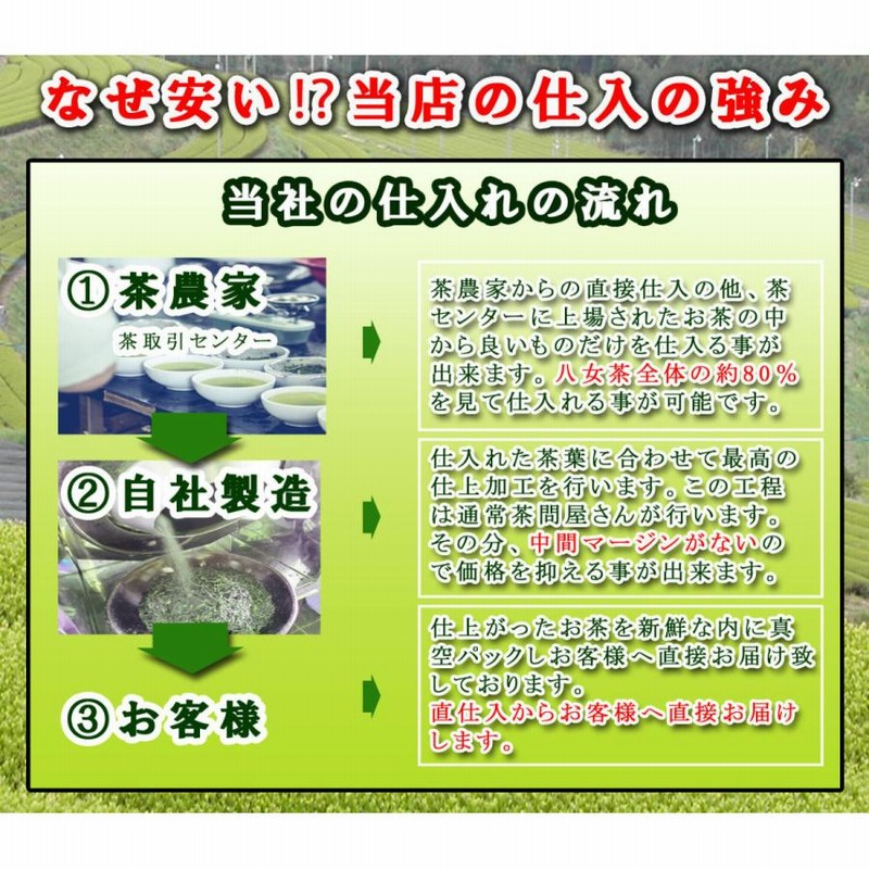 こだわりの八女茶ギフト。八女茶100g 2本箱入り | LINEブランド