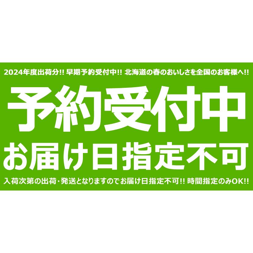 北海道産 パープルアスパラ 500g (共撰 秀品 超極太 3Lサイズ) アスパラ アスパラガス パープルアスパラガス 野菜 送料無料 お取り寄せ