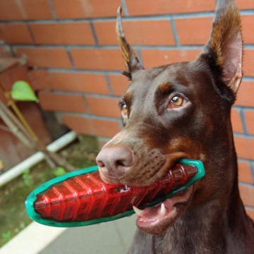 Rosewood寵物狗乳膠玩具犬解暑降溫潔齒杜賓中大型犬抗菌解悶磨牙