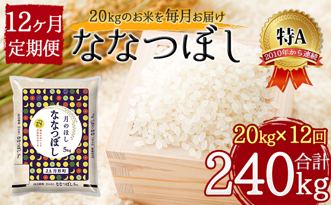 北海道 定期便 12ヵ月連続12回 令和5年産 ななつぼし 5kg×4袋 特A 精米 米 白米 ご飯 お米 ごはん 国産 ブランド米 おにぎり ふっくら 常温 お取り寄せ 産地直送 送料無料