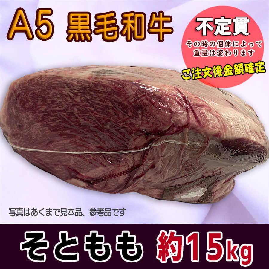 ソトモモ 約15kg 黒毛和牛 A5ランク 5等級 牛もも肉 牛モモ肉 国産牛 ブロック 業務用 贈答品 ギフト ブランド牛