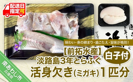 淡路島3年とらふぐ　活身欠き白子付◆配送12月2日～2月28日